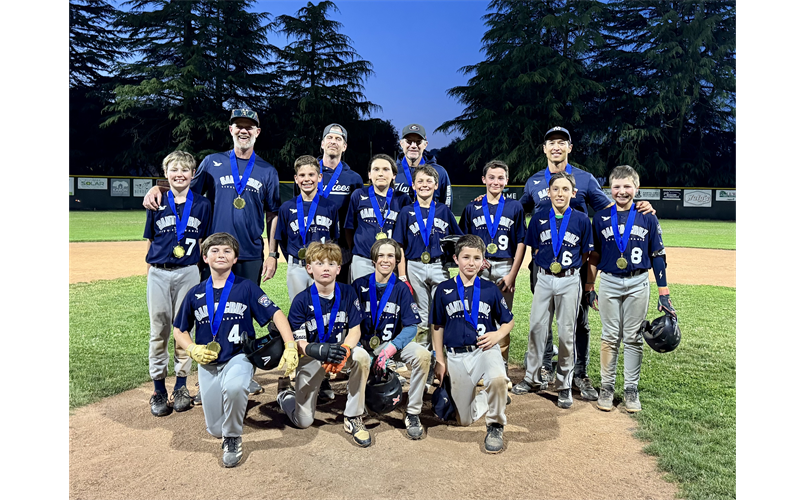 Majors 2025 Playoff Champions - Yankees