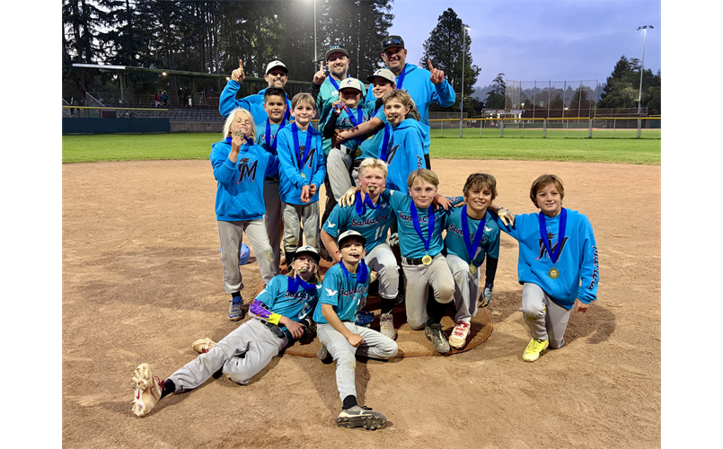 AAA Champions - Marlins
